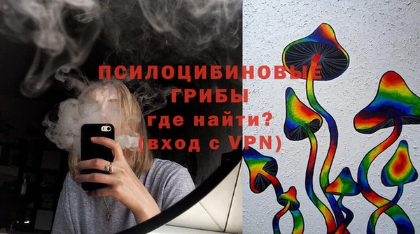 гидра Алексин