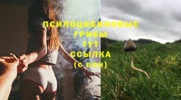 гидра Алексин