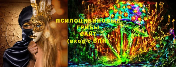 гидра Алексин