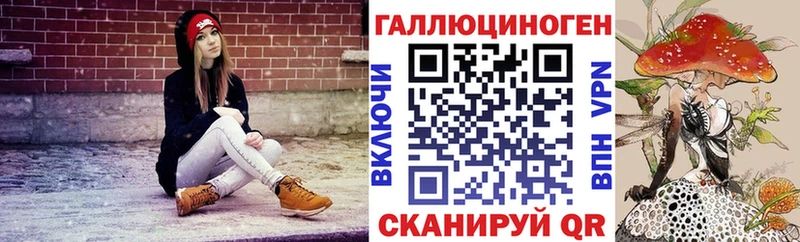 Галлюциногенные грибы Psilocybine cubensis где купить наркоту Бокситогорск