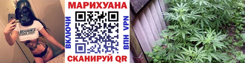 Конопля марихуана  Бокситогорск 